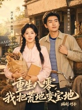 重生八零，我把荒地变宝地封面