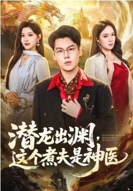 潜龙出渊，这个煮夫是神医封面