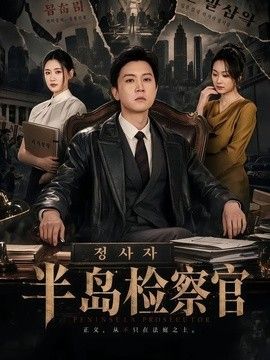 半岛检察官封面
