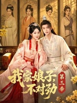 我家娘子不对劲第三季