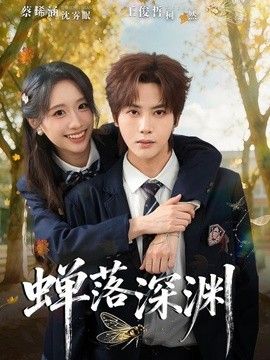 等风来，也等你封面