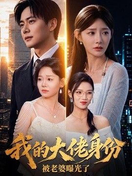 我的大佬身份被老婆曝光了封面