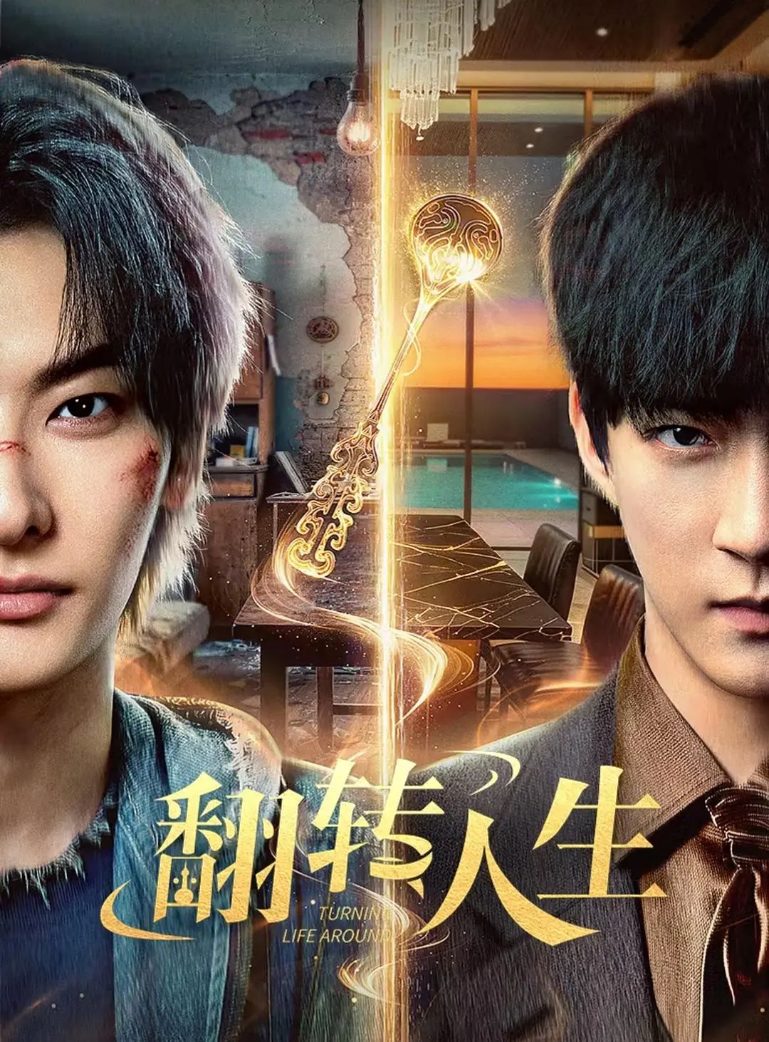 翻转人生（2026）封面图