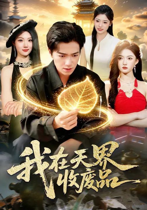 我在天界收废品封面图