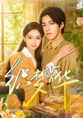 织梦芳华封面