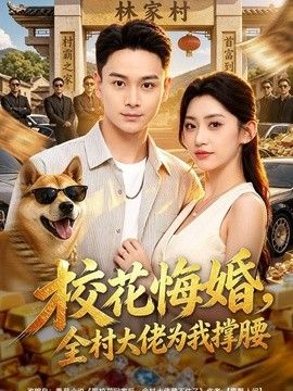 校花悔婚，全村大佬为我撑腰封面