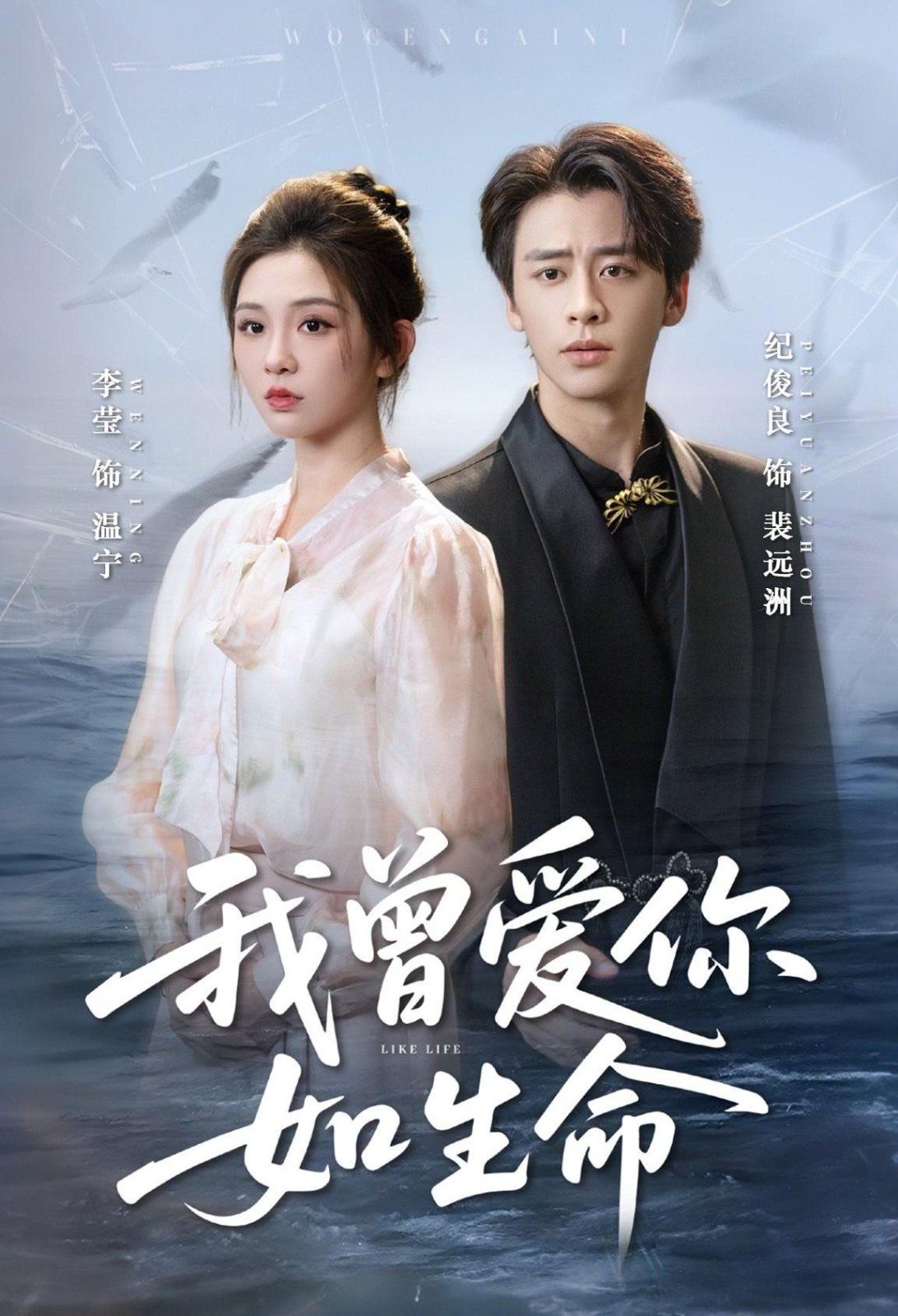 我曾爱你如生命（宁夜向远）封面图