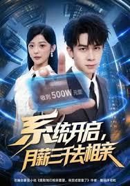 系统开启，月薪三千去相亲