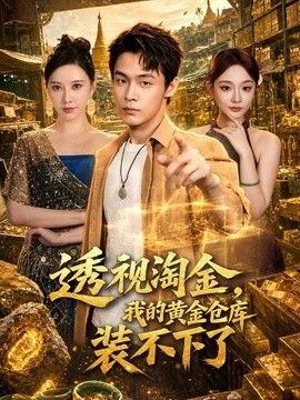 透视淘金，我的黄金仓库装不下了封面