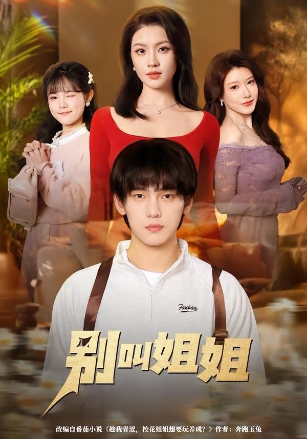 别叫姐姐封面图