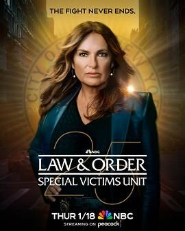法律与秩序：特殊受害者 第二十五季海报剧照