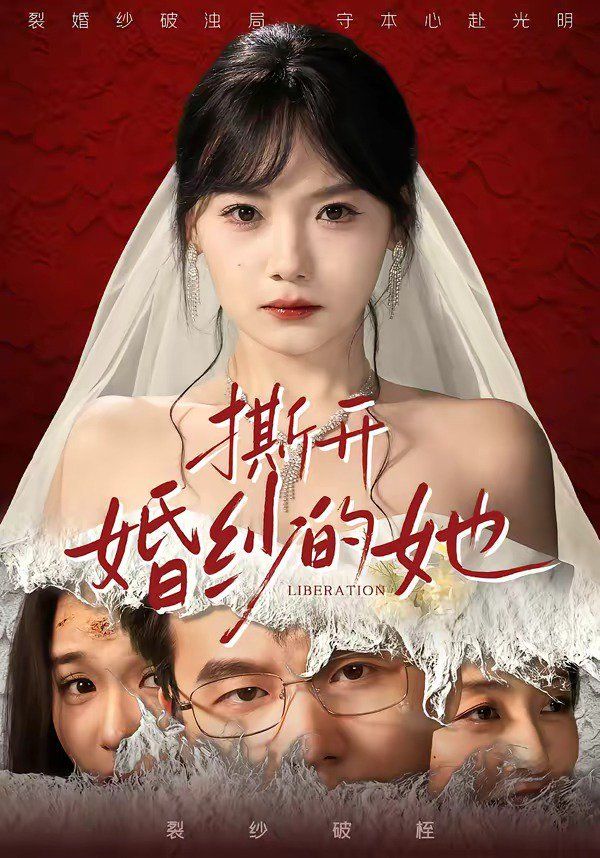 撕开婚纱的她封面图