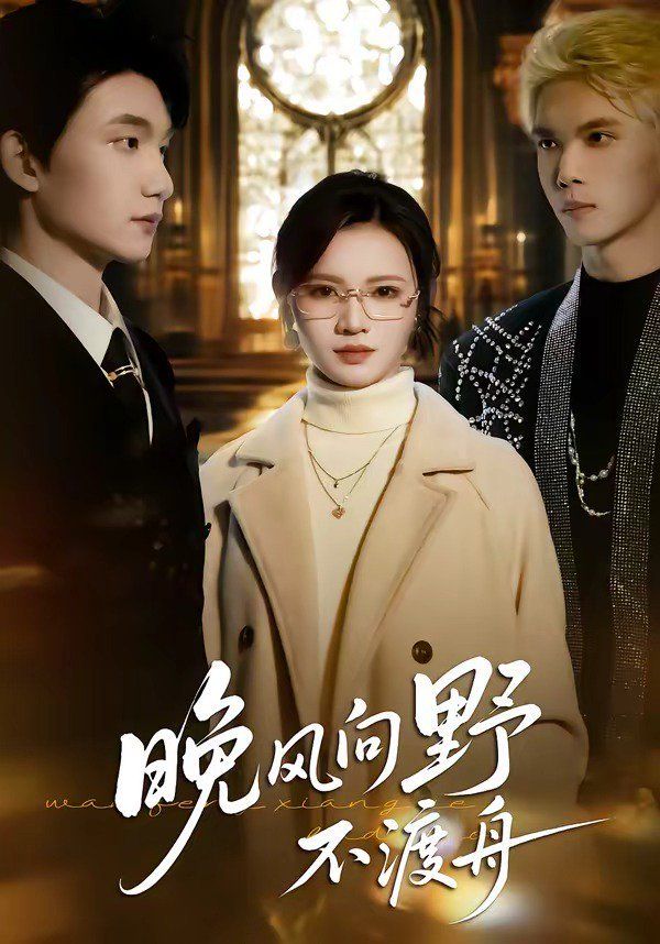 晚风向野不渡舟封面图