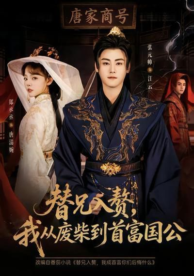 替兄入赘，我从废柴到首富国公封面图