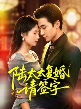陆太太复婚请签字封面