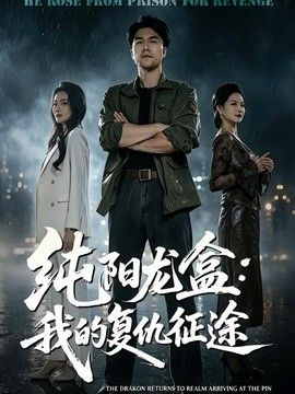 纯阳龙盒我的复仇征途