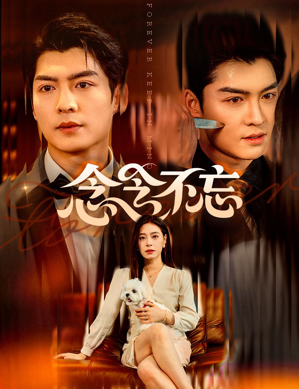 念念不忘 在线观看