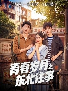 青春岁月之东北往事封面