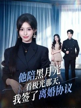 他陪黑月光看极光那天，我签了离婚协议封面