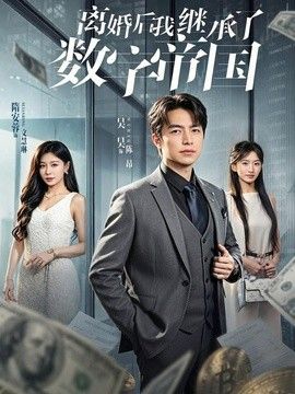 离婚后我继承了数字帝国封面