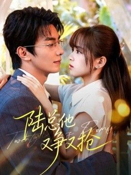 陆总他又争又抢封面