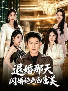 退婚那天，闪婚绝色白富美封面
