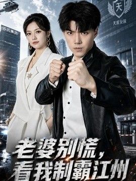 老婆别慌，看我制霸江州封面