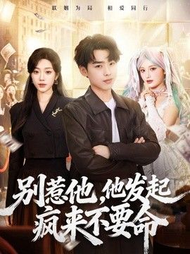 别惹他，他发起疯来不要命封面