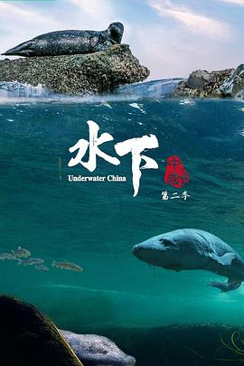 水下中国 第二季海报剧照