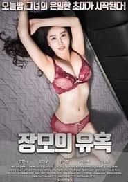 岳母的诱惑：失控的女婿封面