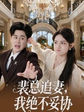 裴总追妻，我绝不妥协封面