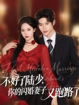 好了陆少，你的闪婚妻子又跑路了