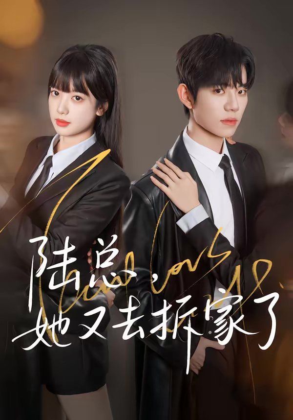 陆总，她又去拆家了 - 短剧 2026