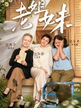 老姐妹短剧海报