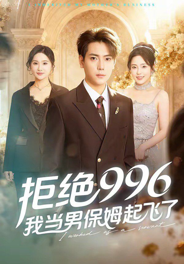 拒绝996，我当男保姆起飞了封面图