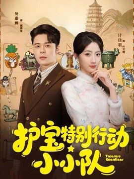 护宝特别行动小小队封面