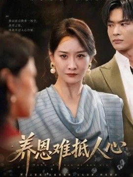 养恩难抵人心封面