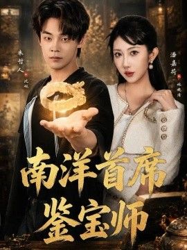 南洋首席鉴宝师封面
