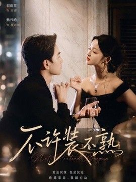 不许装不熟封面