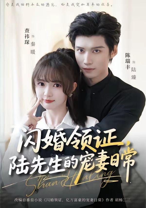 闪婚领证，陆先生的宠妻日常封面图