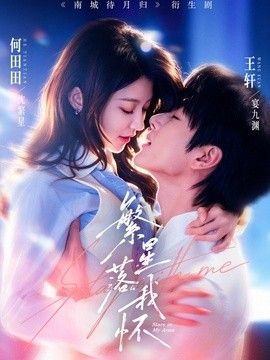 繁星落我怀封面