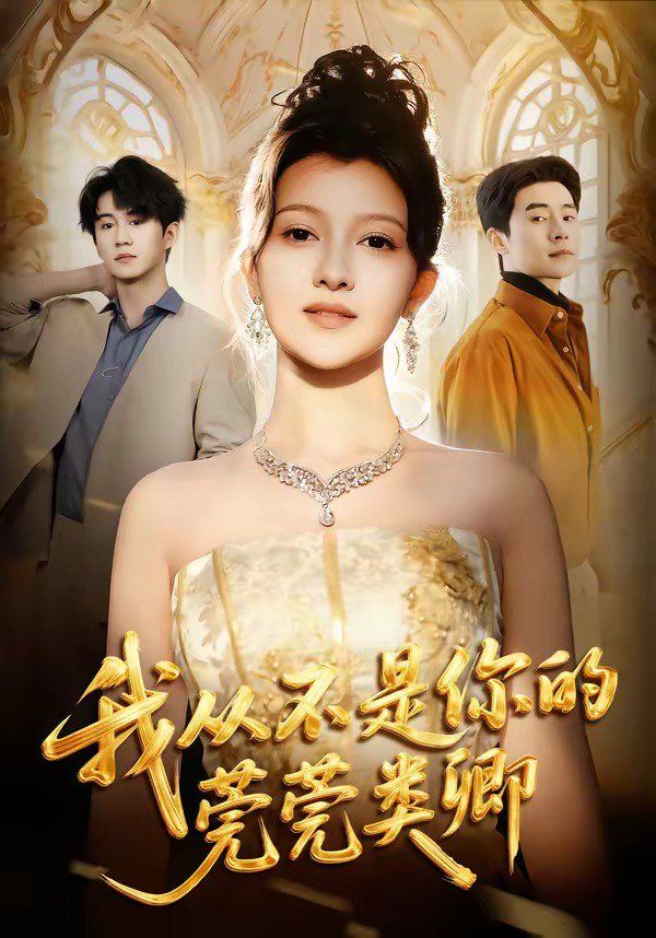 我从不是你的莞莞类卿封面图