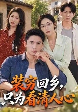 装穷回乡，只为看清人心封面