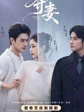 夺妻封面
