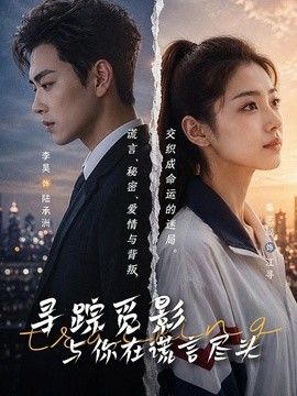 寻踪觅影：与你在谎言尽头封面