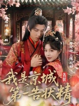 我是京城第一告状精封面