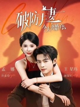 破防夫妻今天离婚了么封面