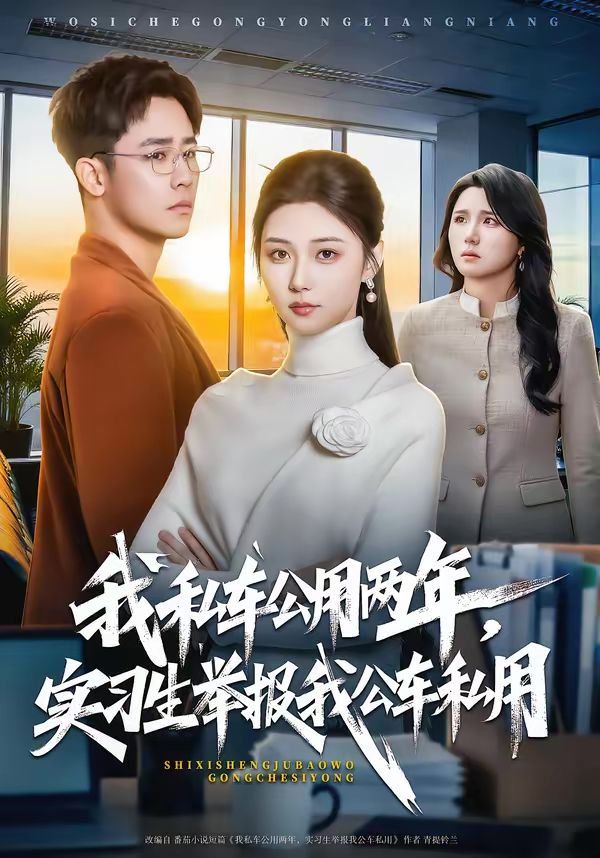 我私车公用两年，实习生举报我公车私用 - 短剧 2026